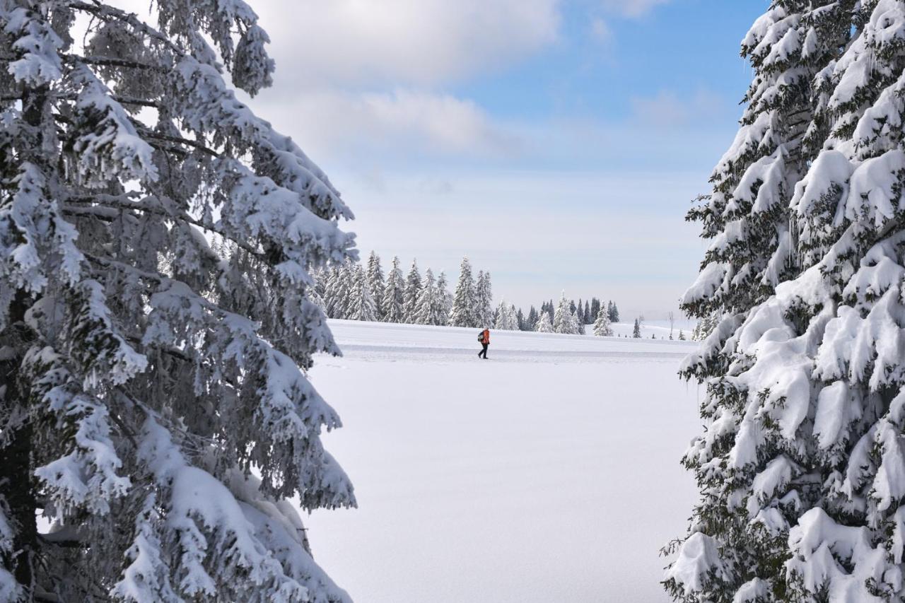 Hotel Natura Rogla Екстер'єр фото