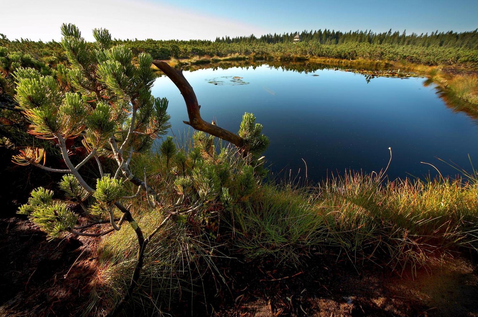Hotel Natura Rogla Екстер'єр фото